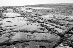 The Burren