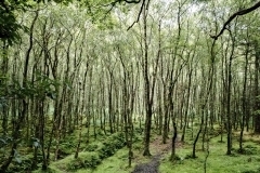 Glendalough