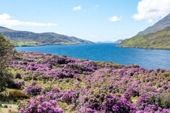 Killary fjord