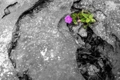 Irlande-1040926